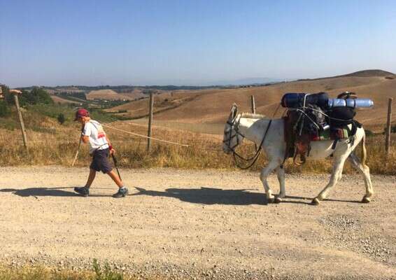האב פיל והחמור במהלך המסע // צילום: רומאו קוקס